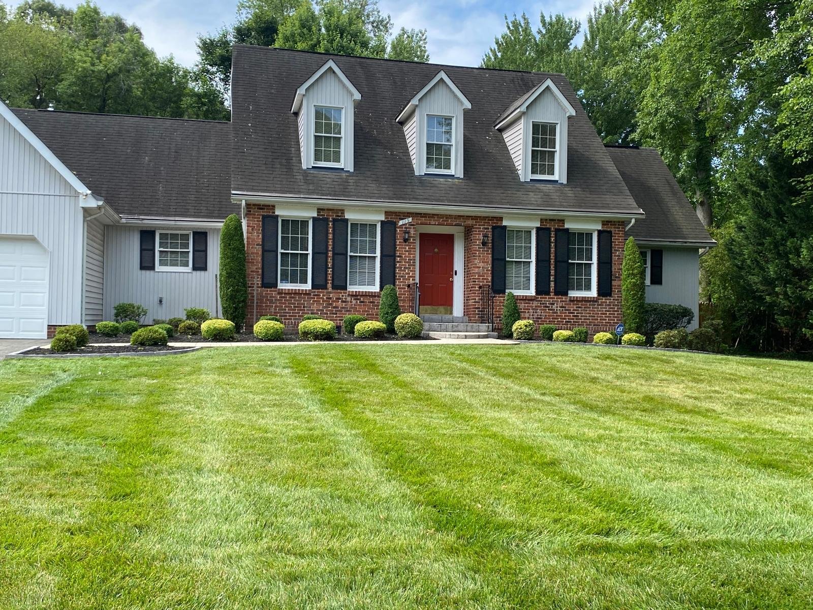 Professionally landscaped residential yard with lawn, plants and walkway